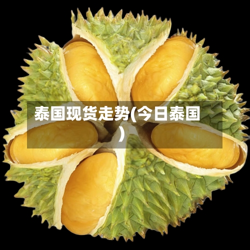 泰国现货走势(今日泰国)-第2张图片