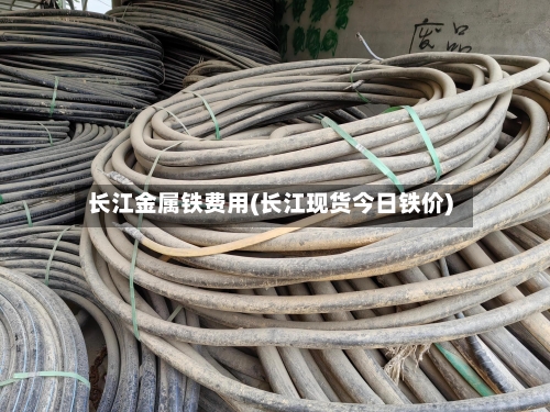 长江金属铁费用(长江现货今日铁价)