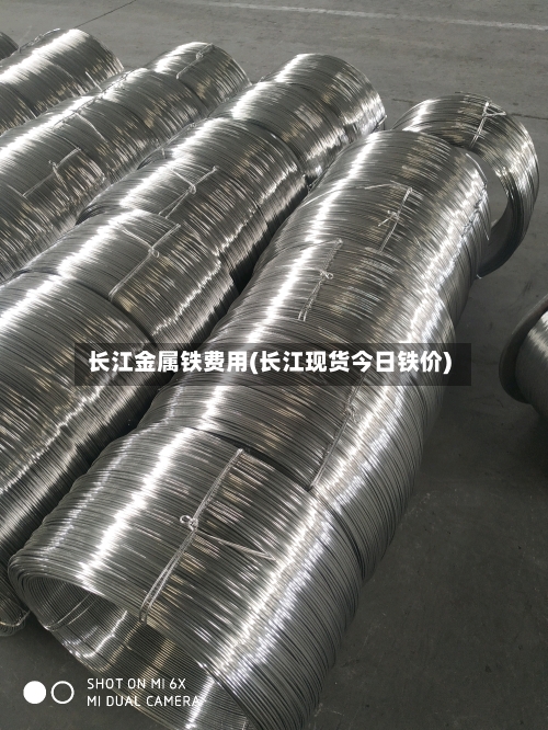长江金属铁费用(长江现货今日铁价)-第2张图片
