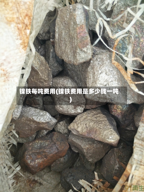 镍铁每吨费用(镍铁费用是多少钱一吨)