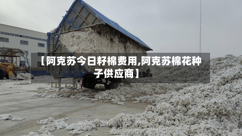 【阿克苏今日籽棉费用,阿克苏棉花种子供应商】