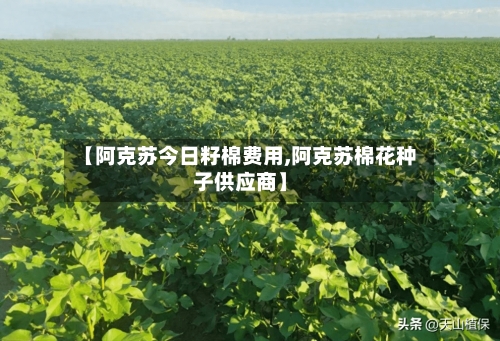 【阿克苏今日籽棉费用,阿克苏棉花种子供应商】-第2张图片