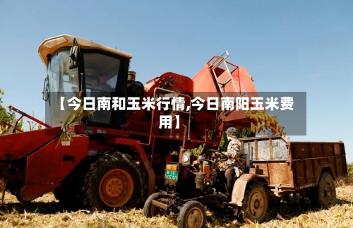 【今日南和玉米行情,今日南阳玉米费用】-第2张图片