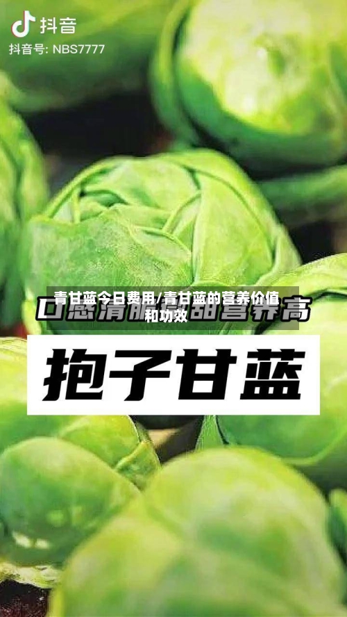 青甘蓝今日费用/青甘蓝的营养价值和功效