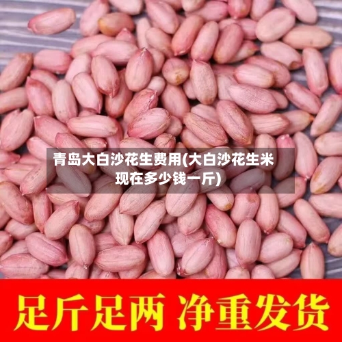 青岛大白沙花生费用(大白沙花生米现在多少钱一斤)-第2张图片