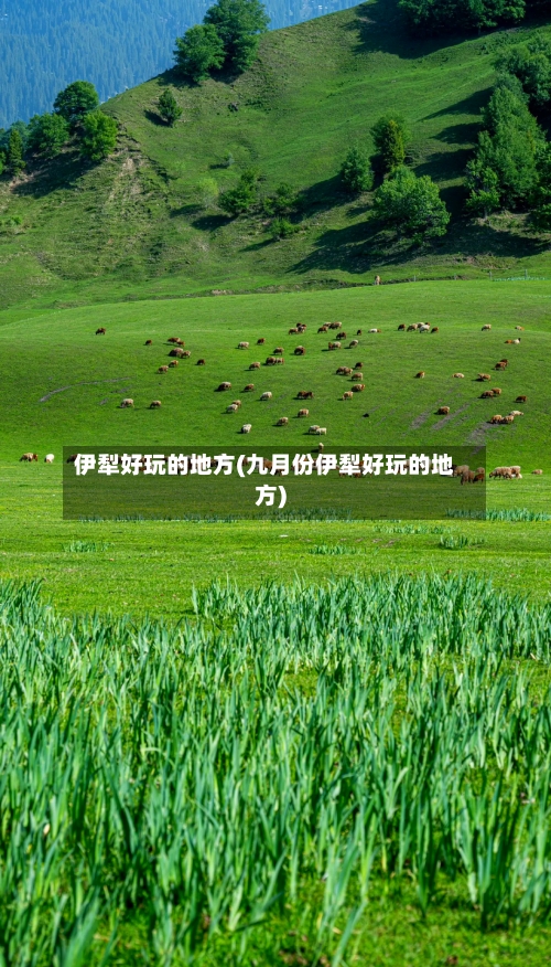 伊犁好玩的地方(九月份伊犁好玩的地方)