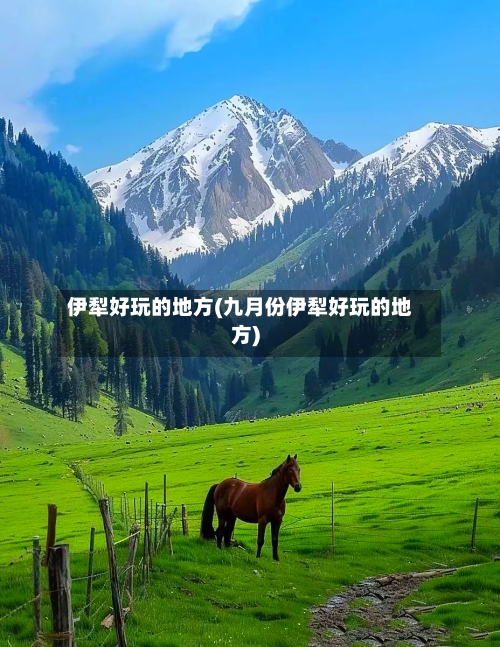 伊犁好玩的地方(九月份伊犁好玩的地方)-第2张图片