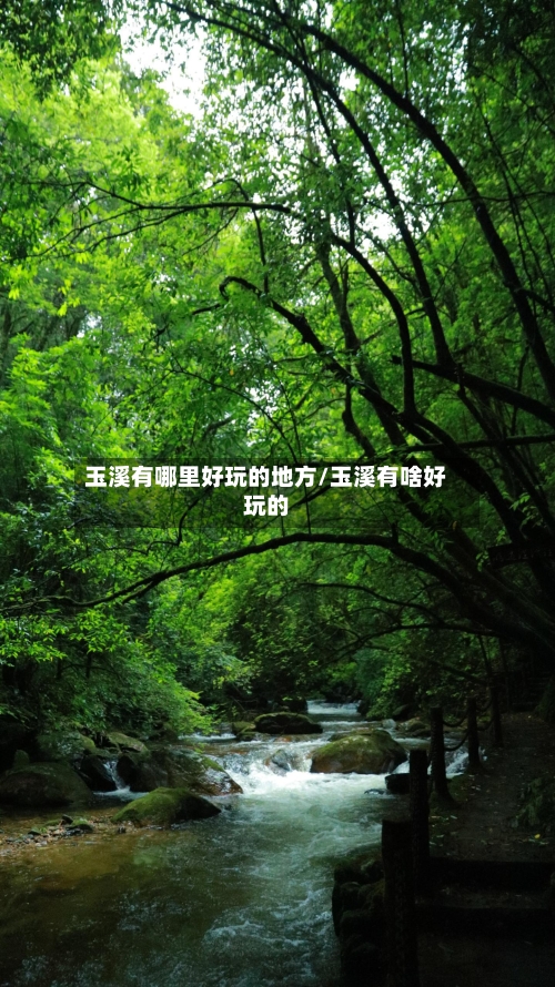 玉溪有哪里好玩的地方/玉溪有啥好玩的-第3张图片