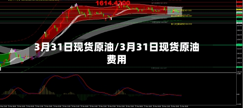 3月31日现货原油/3月31日现货原油费用-第2张图片