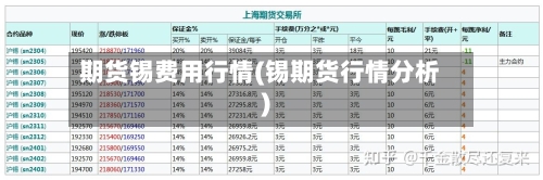期货锡费用行情(锡期货行情分析)