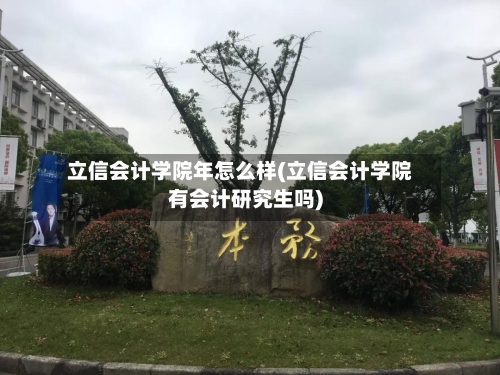 立信会计学院年怎么样(立信会计学院有会计研究生吗)