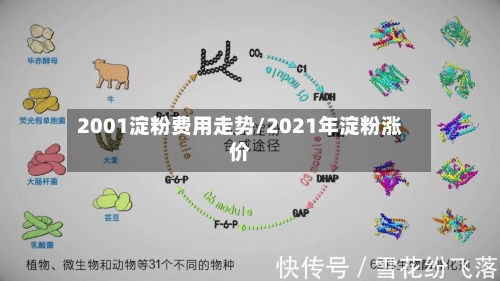 2001淀粉费用走势/2021年淀粉涨价