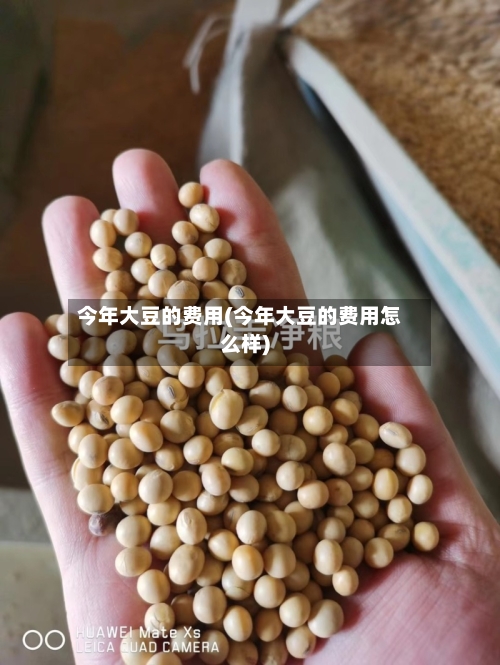今年大豆的费用(今年大豆的费用怎么样)-第2张图片
