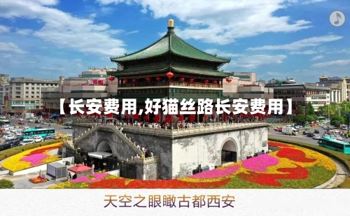 【长安费用,好猫丝路长安费用】-第3张图片