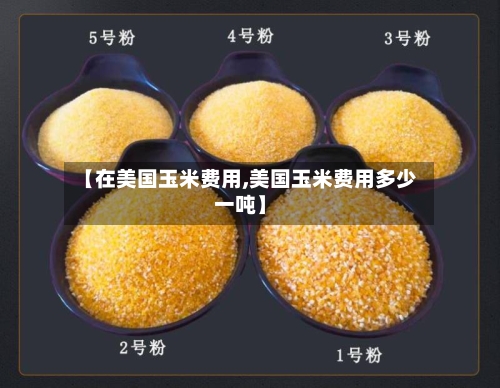 【在美国玉米费用,美国玉米费用多少一吨】-第3张图片