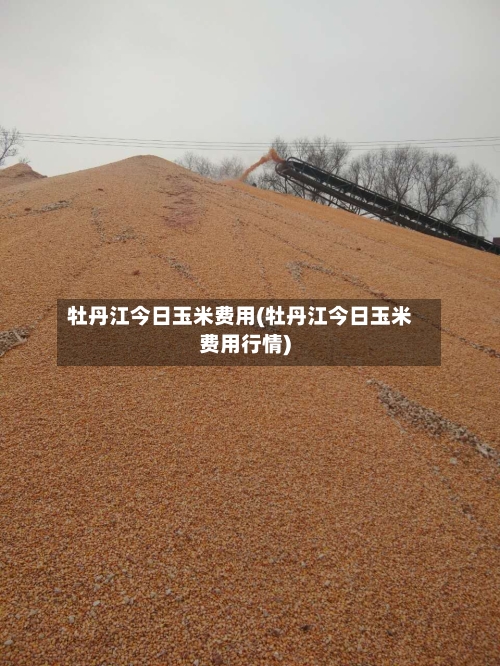牡丹江今日玉米费用(牡丹江今日玉米费用行情)-第2张图片