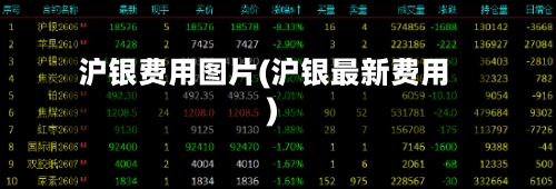 沪银费用图片(沪银最新费用)-第3张图片