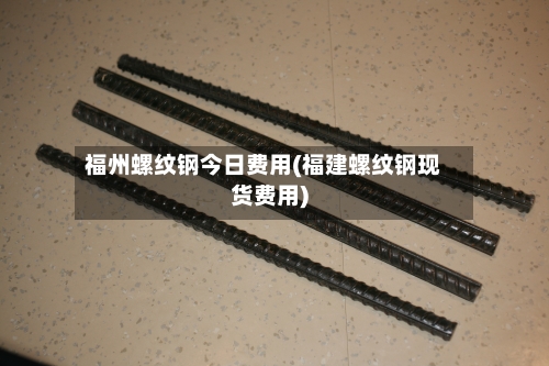 福州螺纹钢今日费用(福建螺纹钢现货费用)