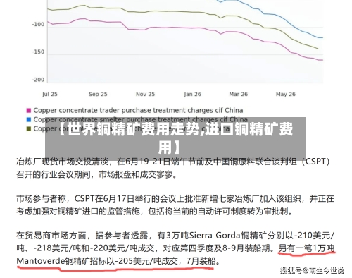 【世界铜精矿费用走势,进口铜精矿费用】