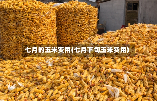 七月的玉米费用(七月下旬玉米费用)