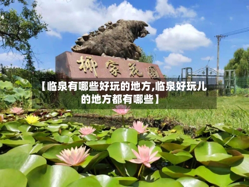 【临泉有哪些好玩的地方,临泉好玩儿的地方都有哪些】