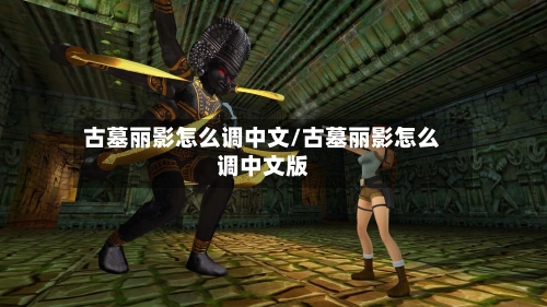 古墓丽影怎么调中文/古墓丽影怎么调中文版-第2张图片