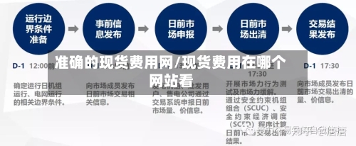 准确的现货费用网/现货费用在哪个网站看
