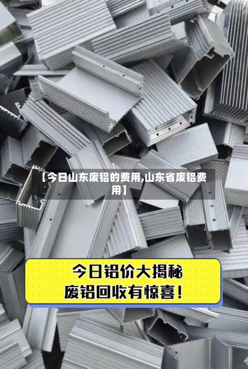【今日山东废铝的费用,山东省废铝费用】