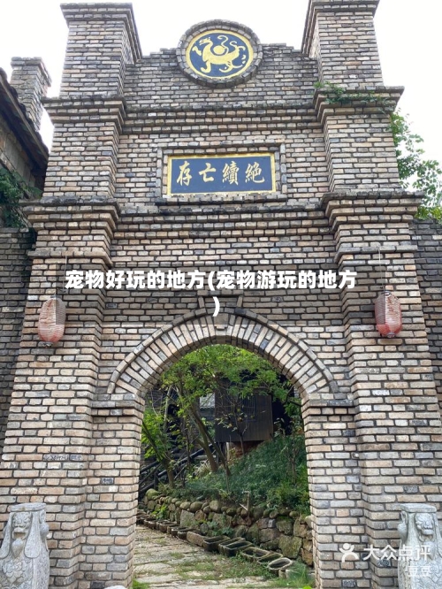 宠物好玩的地方(宠物游玩的地方)