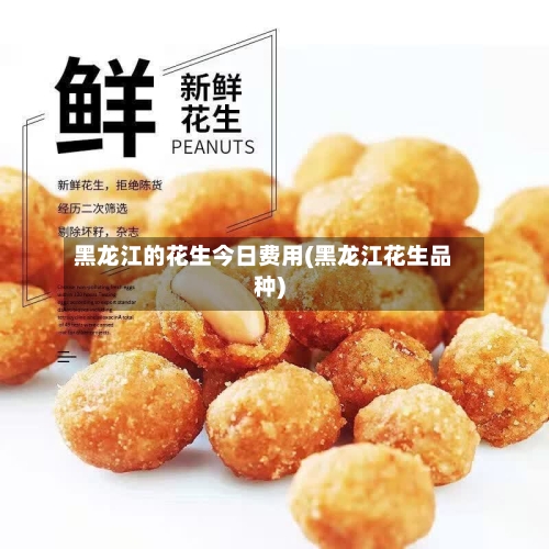 黑龙江的花生今日费用(黑龙江花生品种)