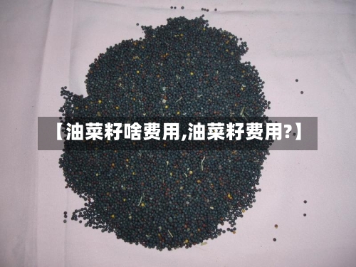【油菜籽啥费用,油菜籽费用?】
