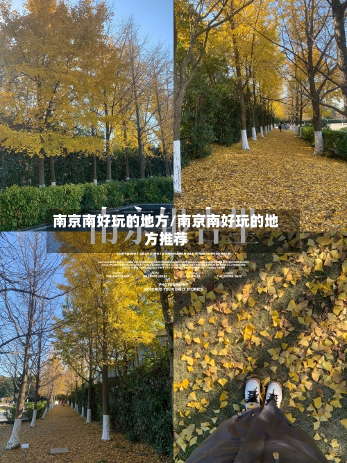 南京南好玩的地方/南京南好玩的地方推荐