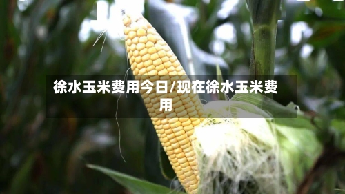 徐水玉米费用今日/现在徐水玉米费用
