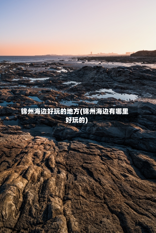 锦州海边好玩的地方(锦州海边有哪里好玩的)