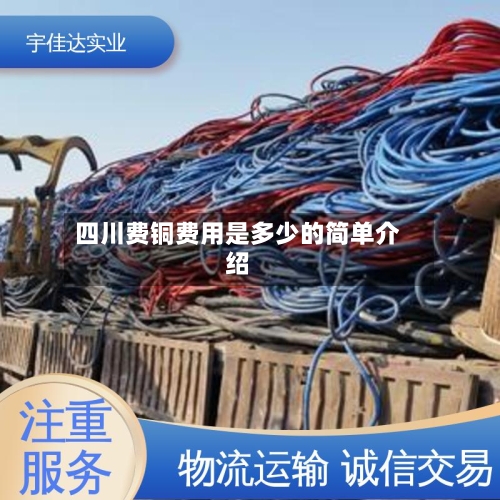 四川费铜费用是多少的简单介绍-第2张图片