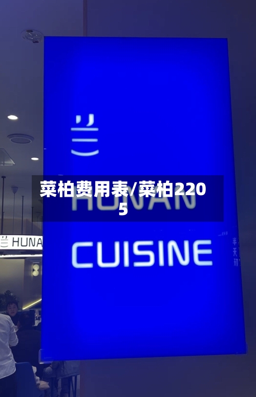 菜柏费用表/菜柏2205-第3张图片