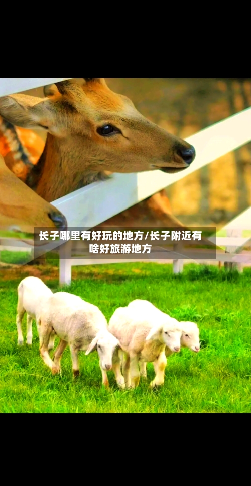 长子哪里有好玩的地方/长子附近有啥好旅游地方-第2张图片