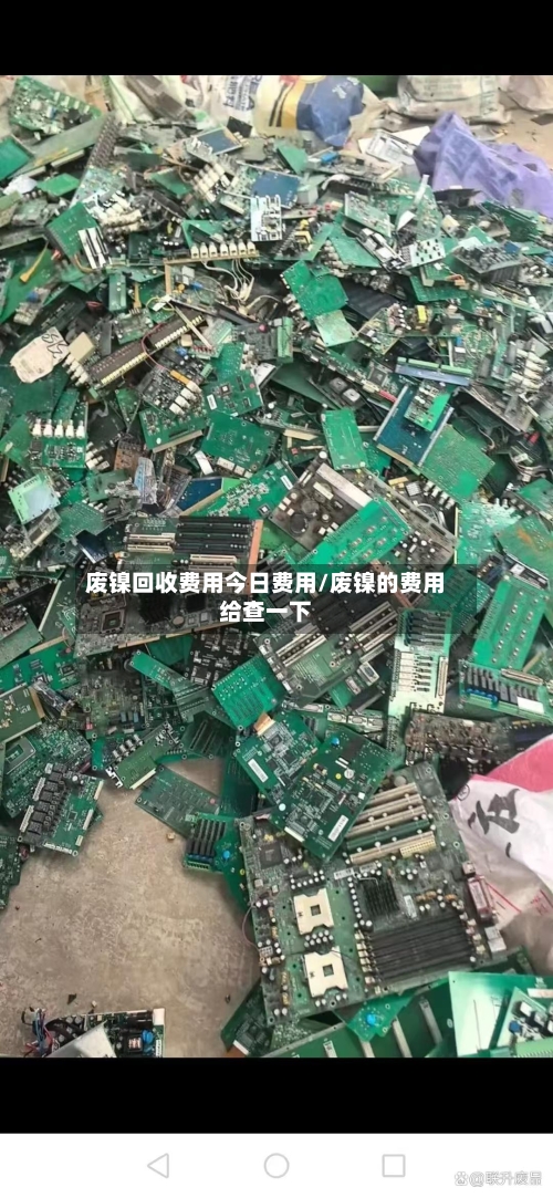 废镍回收费用今日费用/废镍的费用给查一下