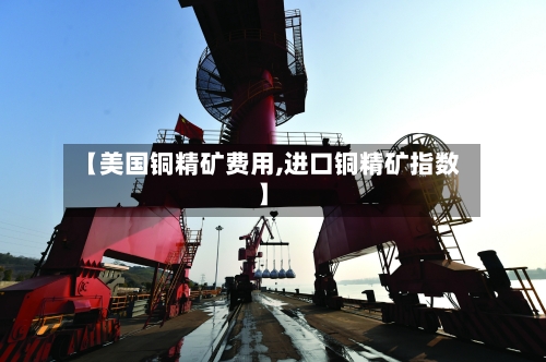 【美国铜精矿费用,进口铜精矿指数】-第3张图片