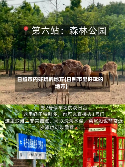 日照市内好玩的地方(日照市里好玩的地方)-第3张图片