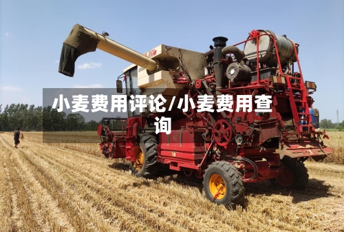 小麦费用评论/小麦费用查询-第2张图片