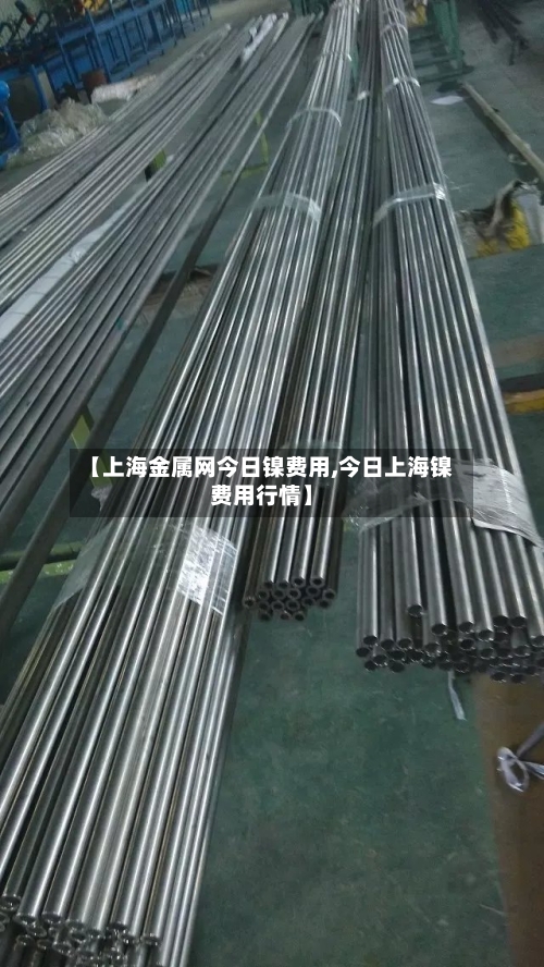 【上海金属网今日镍费用,今日上海镍费用行情】