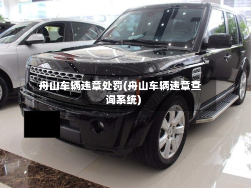 舟山车辆违章处罚(舟山车辆违章查询系统)