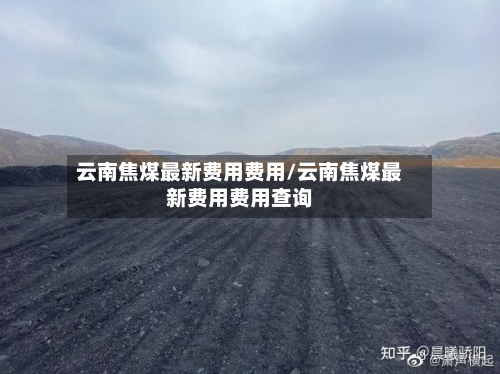 云南焦煤最新费用费用/云南焦煤最新费用费用查询-第3张图片