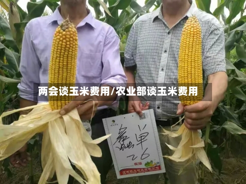 两会谈玉米费用/农业部谈玉米费用-第2张图片