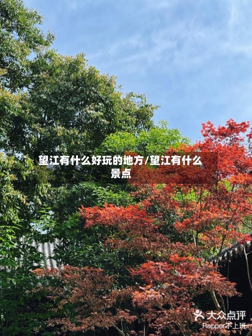 望江有什么好玩的地方/望江有什么景点