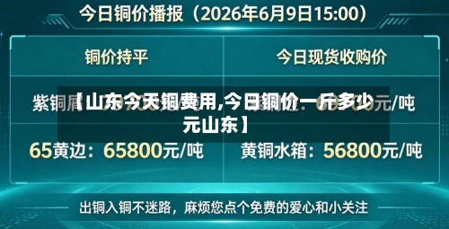 【山东今天铜费用,今日铜价一斤多少元山东】-第2张图片