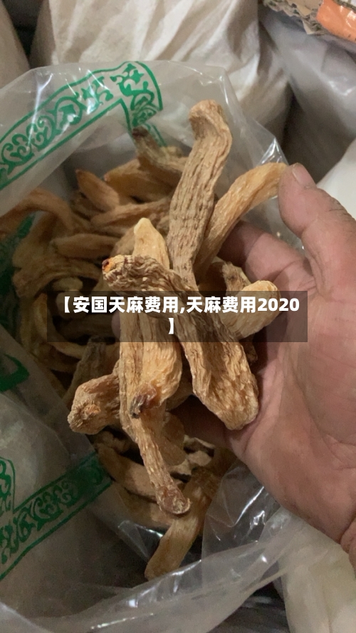 【安国天麻费用,天麻费用2020】
