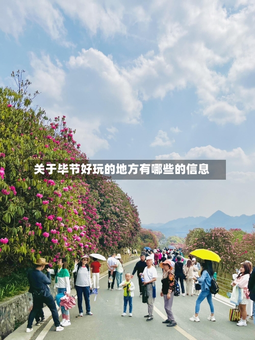关于毕节好玩的地方有哪些的信息