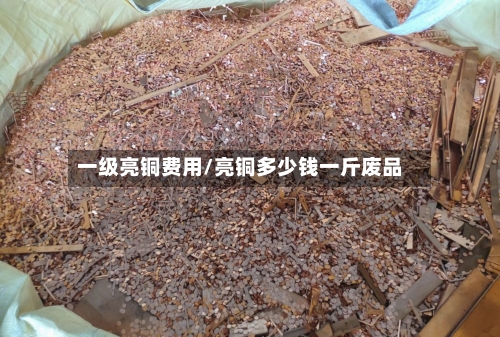 一级亮铜费用/亮铜多少钱一斤废品